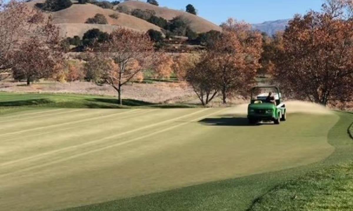 Golf cart on golf course