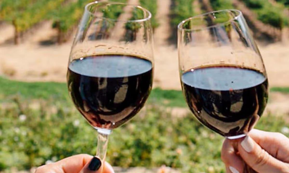 Wine glasses cheers